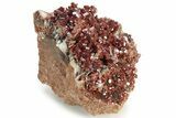Top-Quality, Deep Red Vanadinite Crystals on Barite - Morocco #231844-1